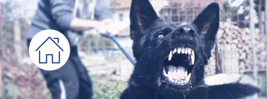 "Be Aware of the Dog": Three Amazing Dog Breeds to Protect Your Home