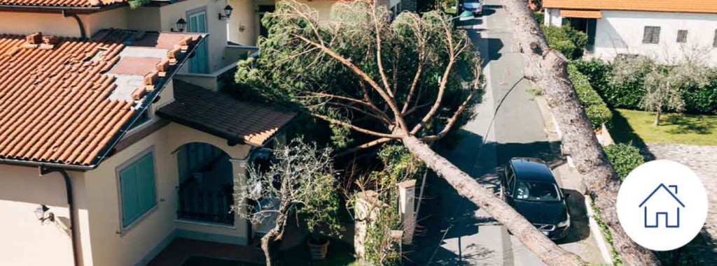 Se cayó el árbol del vecino sobre mi techo.