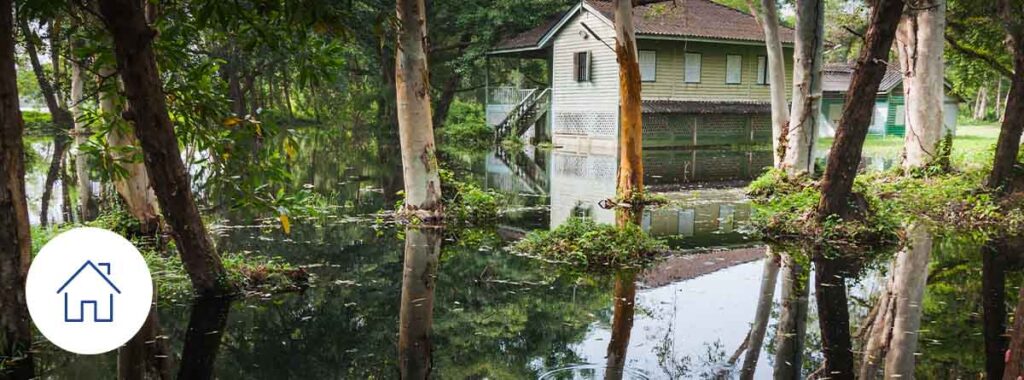Should I buy a flood insurance policy?