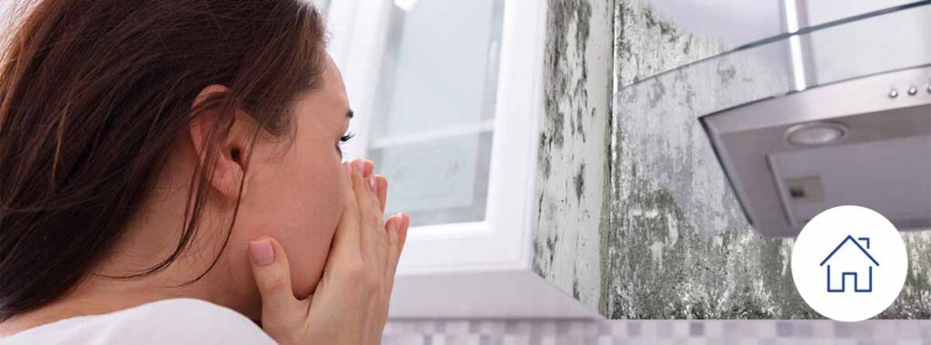 Mold in your home: does insurance cover it?