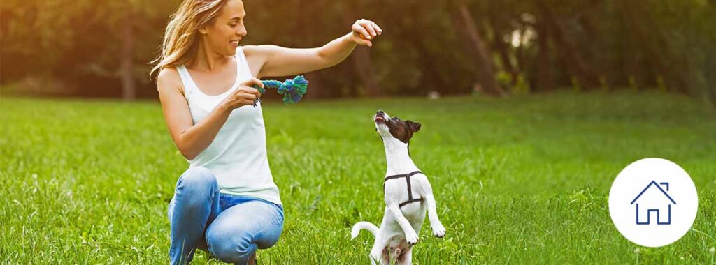 woman playing with dog