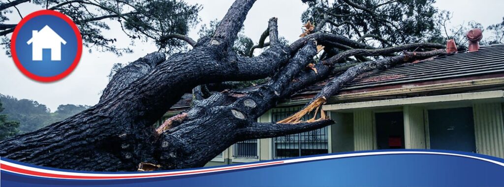 El árbol de la discordia no siempre es un manzano