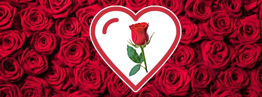 ¿El ruiseñor y la rosa?