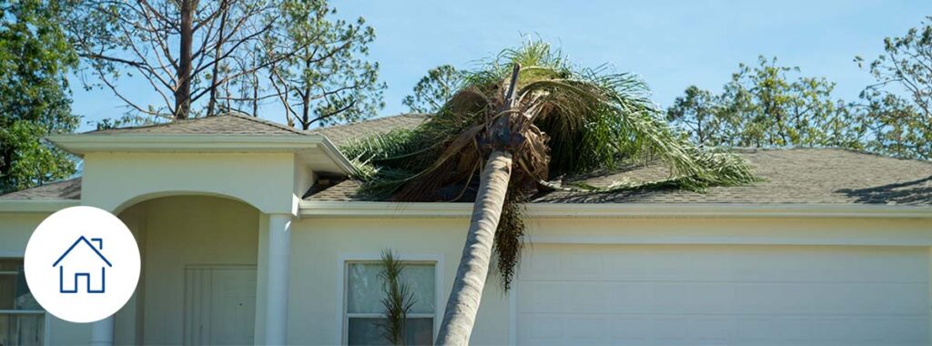 Un tornado tiró un árbol sobre mi casa, ¿a quién reclamo?